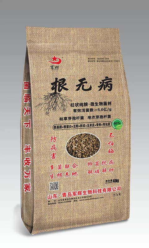 军辉   根无病